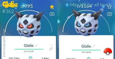 how much money is glalie.